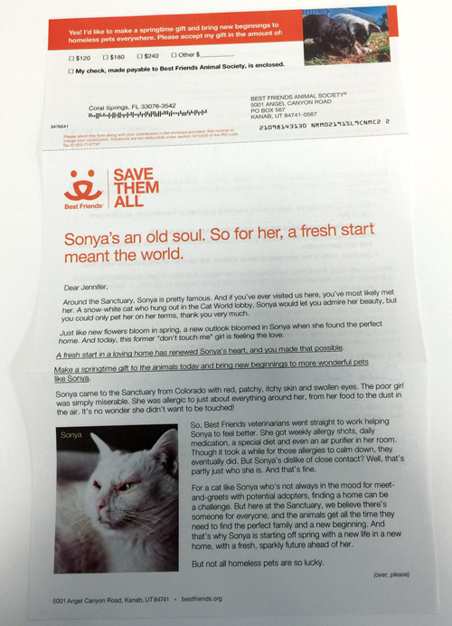 non-profit direct mailer