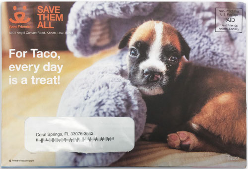 non-profit direct mailer