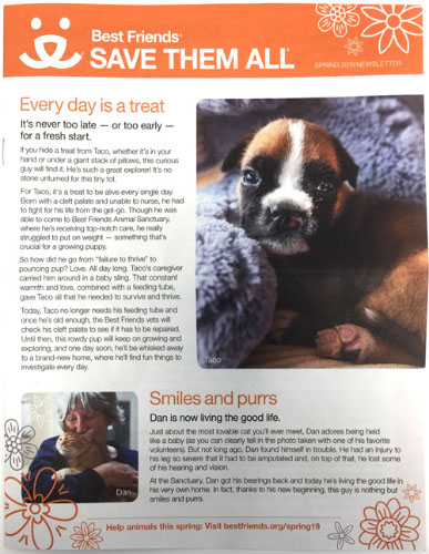 non-profit direct mailer