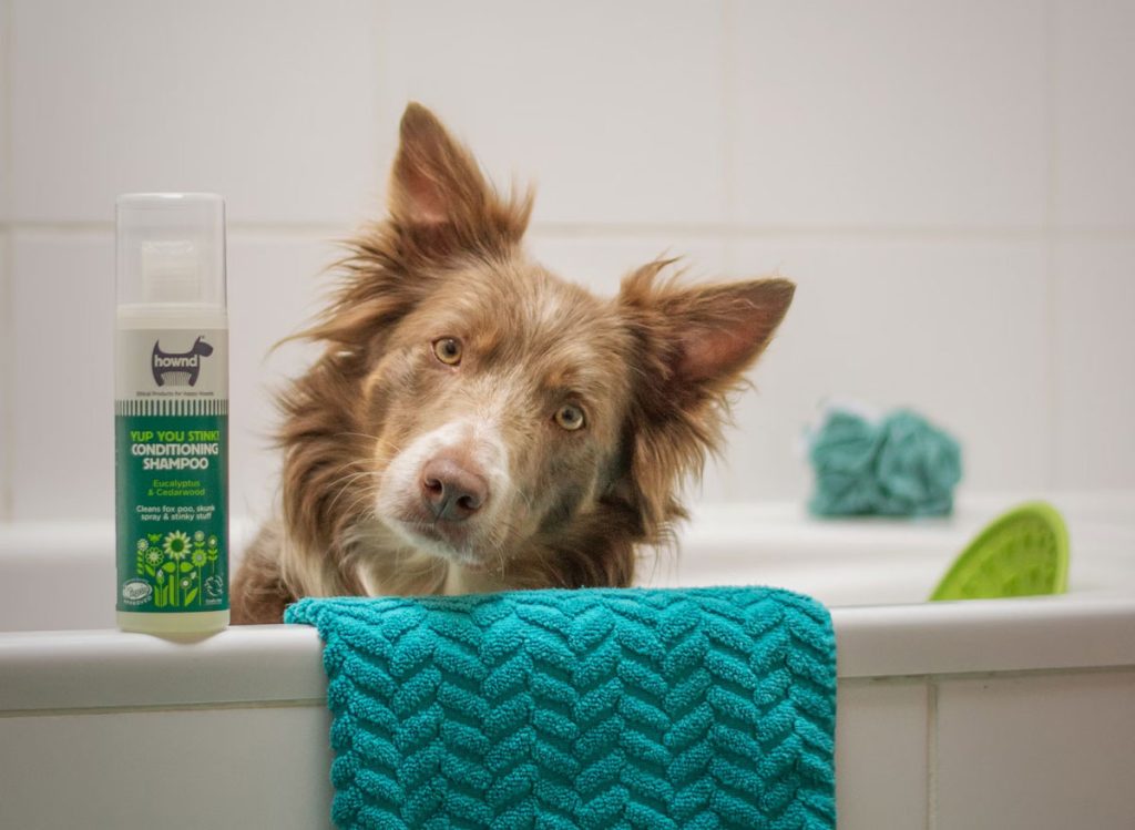 pet shampoo labels